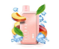Elfbar Raya D1 Peach Ice Chennai