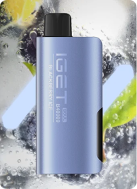 IGET Soul B40000 – Blackberry Ice